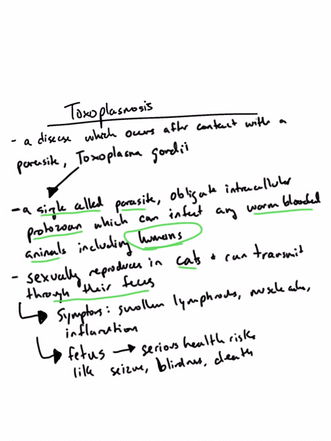 question-34-1-point-saved-34-which-of-the-following-statements-is-not-true-about-toxoplasmosis-humans-can-get-it-from-cat-feces-b-congenital-infection-can-lead-to-brain-damage-still-birth-an-27384