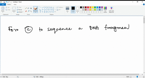 for-which-of-the-following-processes-can-deoxyribonucleotides-be-used-a-to-silent-the-gene-b-to-visualize-dna-expression-c-to-sequence-a-dna-fragment-d-to-separate-different-sized-dna-fragme-36366