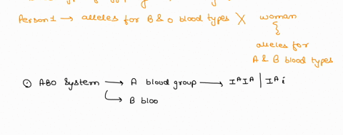 in-humans-the-allele-for-type-a-blood-and-the-allele-for-type-b-blood-show-codominance-a-person-with-both-alleles-has-blood-type-ab-both-a-and-b-dominate-type-o-a-person-with-an-allele-for-t-30788