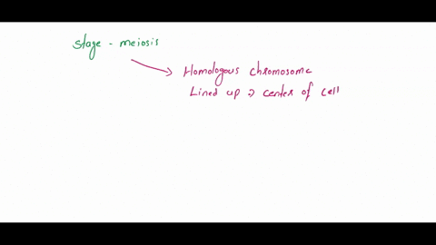 at-what-stage-in-meiosis-are-homologous-chromosomes-and-lined-up-in-the-center-of-the-cell-paired-select-one-prophase-anaphase-metaphase-prophase-metaphase-52971