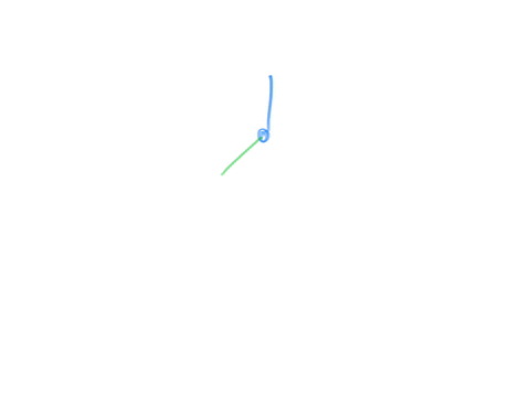 which-type-of-joint-is-found-between-the-radius-and-the-ulna-allowing-for-rotation-a-hinge-joint-b-pivot-joint-c-ball-and-socket-joint-d-condyloid-joint-e-saddle-joint