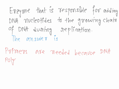 which-of-the-following-enzymes-is-responsible-for-adding-dna-nucleotides-to-the-growing-chain-of-dna-during-replication-topoisomerase-dna-polymerase-helicase-ligase-28398