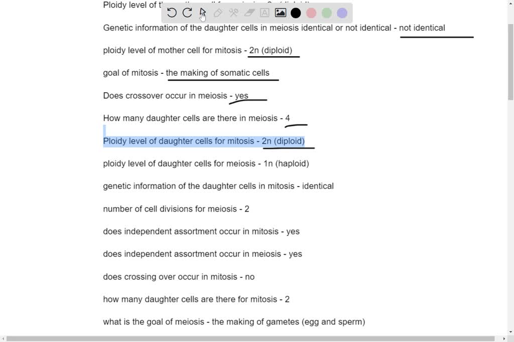 SOLVED Match the terms or words to the questions on Mitosis vs