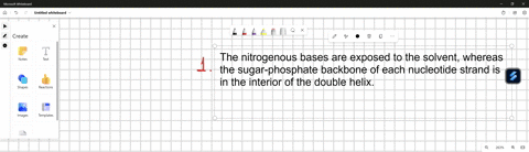 select-the-phrases-that-accurately-describe-properties-of-the-most-common-form-of-the-dna-double-helix-there-is-more-than-one-correct-answer-select-all-that-apply-dna-contains-equal-amounts-79014