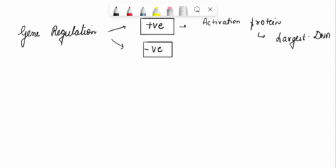 describe-gene-regulation-and-expression-using-the-lac-operon-83686