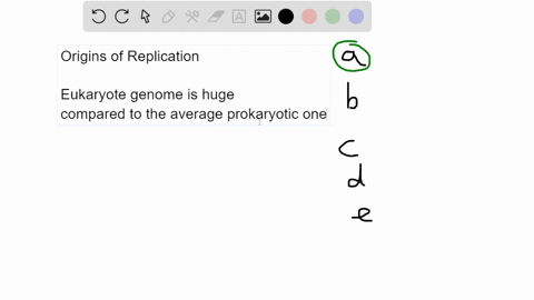 multiple-origins-of-replication-on-the-dna-molecules-of-eukaryotic-cells-serve-to-shorten-the-time-necessary-for-dna-replication-create-multiple-copies-of-the-dna-molecule-at-the-same-time-a-64023