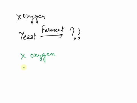 in-absence-of-oxygen-yeast-cells-can-obtain-energy-by-fermentation-resulting-in-the-production-of-what-21736