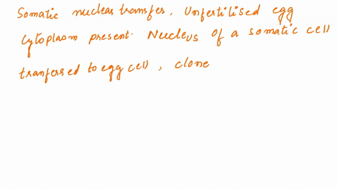in-somatic-cell-nuclear-transfer-an-unfertilized-egg-cells-has-its-genome-destroyed-but-its-cytoplasm-remains-intact-the-nucleus-of-a-somatic-cell-from-a-different-animal-is-then-transferred-67742