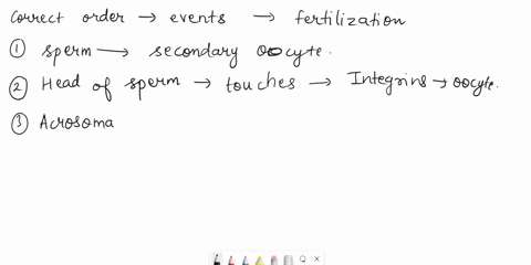 place-the-events-of-fertilization-in-the-correct-order-from-beginning-to-end-the-he-ad-of-the-sperm-the-zona-pellucida-moves-outward-to-form-cell-penetrates-the-a-perivitelline-space-plasma-07338
