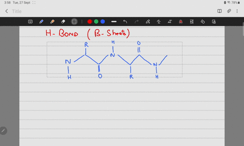 a-draw-the-backbone-hydrogen-bonding-pattern-for-the-beta-sheet-below-r-n-n-0-h-r-r-h-r-h-r-xn-n-n-h-r-0-n-r-b-knowing-that-in-beta-sheet-the-amino-acid-side-chains-alternate-positions-above-97507
