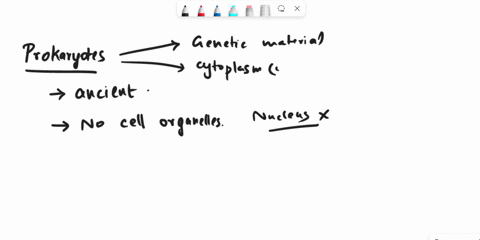 question-15-which-of-the-following-statements-about-prokaryotes-is-false-ancient-prokaryotes-may-have-given-rise-to-some-eukaryotic-organelles-prokaryotic-cells-concentrate-important-materia-40113