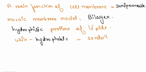a-main-function-of-the-cell-membrane-is-to-be-very-selective-as-to-what-is-able-to-cross-through-a-condition-known-as-a-semi-permeable-barrier-in-the-fluid-mosaic-membrane-model-lipids-are-o-88308