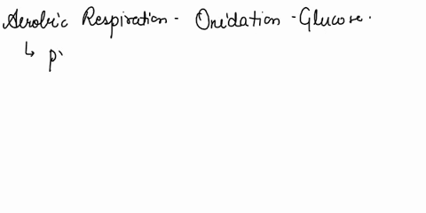 indicate-whether-the-following-statements-describes-the-phosphagen-anaerobic-or-aerobic-energy-system-question-3-options-123-sustains-exercise-for-only-a-few-seconds-123-the-energy-system-of-10942
