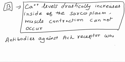 how-would-antibodies-against-the-ach-receptors-affect-the-levels-of-ca-inside-the-sarcoplasmic-reticulum-and-what-does-this-do-to-muscle-contraction-a-ca-levels-decrease-inside-the-sarcoplas-78352