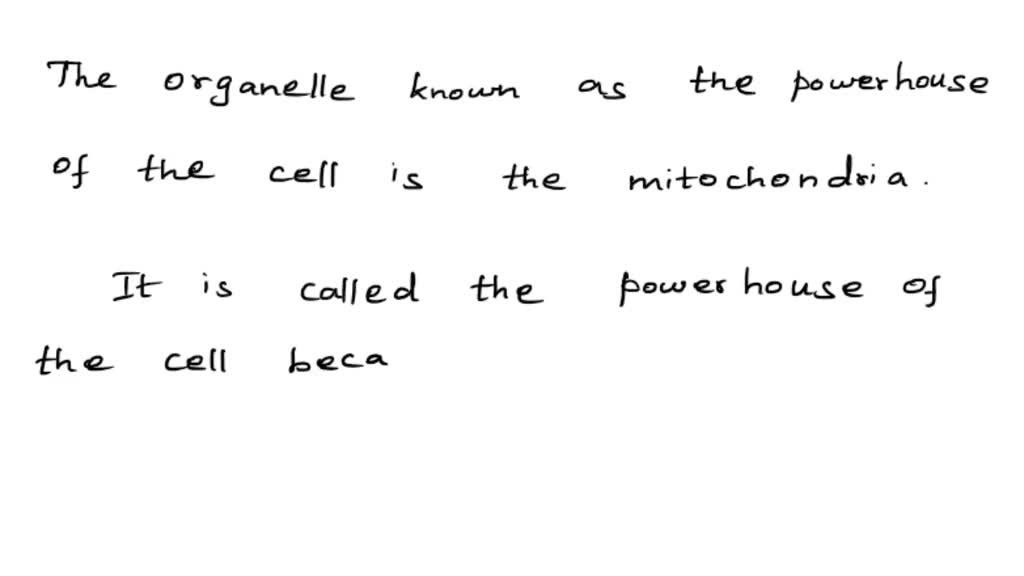 which of the following organelle is the powerhouse of the cell