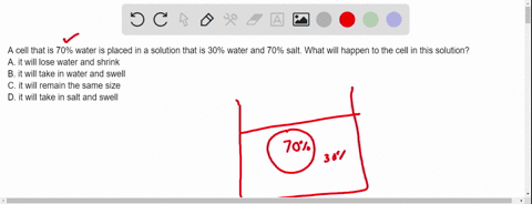a-cell-that-is-70-water-is-placed-in-a-solution-that-is-30-water-and-70-salt-what-will-happen-to-the-cell-in-this-solution-a-it-will-lose-water-and-shrink-b-it-will-take-in-water-and-swell-c-56731