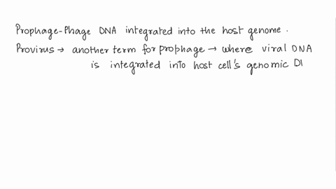 what-is-a-prophage-a-provirus-and-an-episome-what-is-theircommon-role-in-a-viral-reproductive-cycle-36541