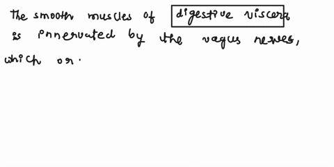 the-smooth-muscle-of-the-digestive-viscera-is-innervated-by-the-lumber-splanchnic-nerves-cephalic-plexus-pelvic-nerves-vagus-nerves-79176