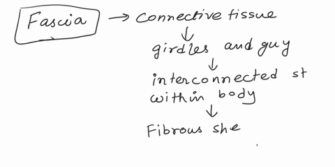 q-which-of-the-following-functions-like-girdles-and-guy-wires-to-provide-an-interconnected-structure-aolungs-bofascia-cosarcomeres-domuscle-spindles-94024