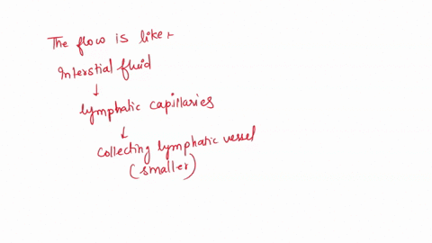in-a-lymphat-vessets-taylr-recated-trom-hi-human-anatomy-class-that-the-lymphatic-system-was-responsible-for-draining-extra-fud-from-tissues-df-the-body-he-wondered-thee-might-be-problem-wit-99852