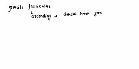 identify-each-of-the-following-spinal-tracts-the-gracile-fasciculus-and-the-lateral-corticospinal-la-94202