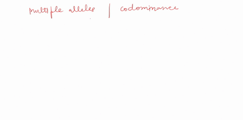 blood-type-is-an-example-of-acodominance-b-polyallelic-inheritance-c-simple-inheritance-d-polygenic-inheritance-e-incomplete-dominance-90558