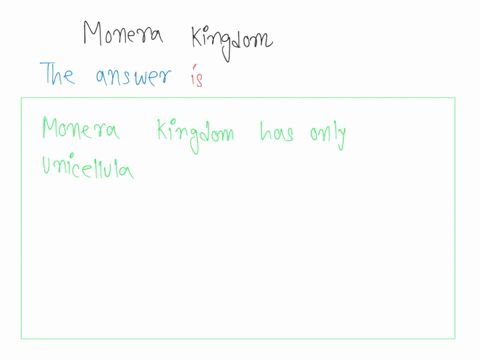 to-which-phylum-does-this-organism-belong-35366