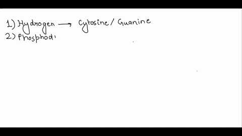 __________________-bonds-between-the-nitrogenous-bases-hold-the-two-single-strands-together-in-the-double-in-the-double-helix-58816