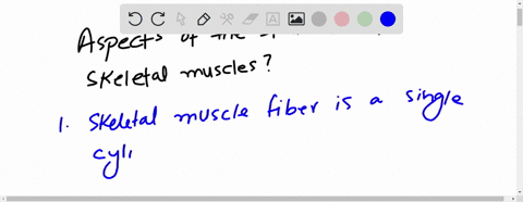which-of-the-following-are-aspects-of-the-structure-of-skeletal-muscle-select-all-that-apply-acells-are-branched-or-unbranched-with-single-nuclei-bthe-muscle-fibers-are-parallel-to-one-anoth-35757