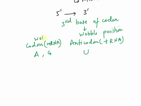write-the-codon-with-correct-polarity-of-all-mrna-codons-that-will-bind-to-the-trna-anticodon-5-ucg-3considering-wobble-base-pairing-rules_-select-one-cga-cgg-b-agc-only-cga-only-dagc-agu-03305