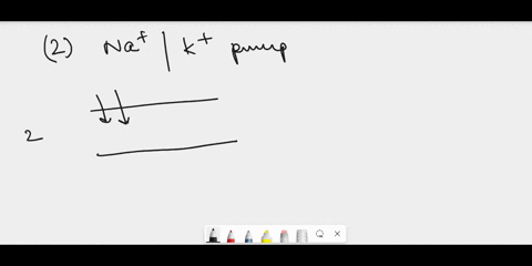 question-122-pts-the-nak-pump-__________________-group-of-answer-choices-transfers-3-potassium-ions-out-and-2-sodium-ions-in-in-each-cycle-transfers-2-potassium-ions-in-and-3-sodium-ions-out-82168