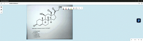 oh-ho-what-type-of-molecule-is-shown-in-the-figure-phospholipid-b-steroid-c-triglycende-amino-acid-e-disaccharide-99725