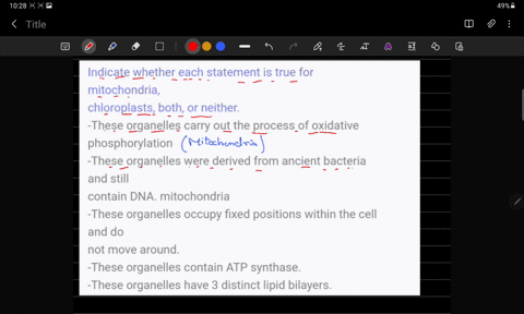 indicate-whether-each-statement-is-true-for-mitochondria-chloroplasts-both-or-neither-these-organelles-carry-out-the-process-of-oxidative-phosphorylation-these-organelles-were-derived-from-a-88212