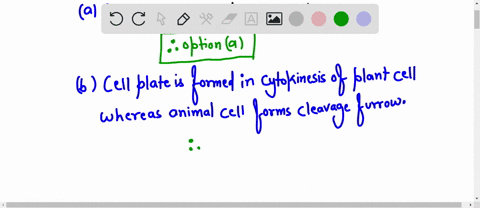 1-what-type-of-cell-undergo-mitosis-a-somatic-cells-b-bacterial-cells-c-sex-cells-2-cytokinesis-in-plant-cells-differs-from-animal-cells-in-that-the-plant-cells-__________-a-start-to-form-a-65582