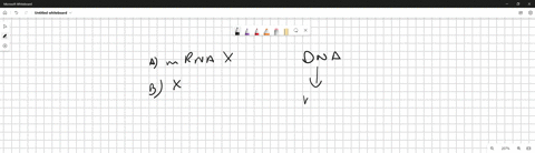 dna-synthesis-relies-on-what-key-structure-mrna-amino-acids-thymidine-triphosphate-rna-polymerase-90115