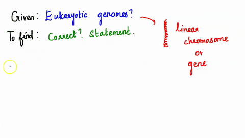 which-of-the-following-statements-bout-eukaryotic-genomes-is-correct-eukaryotic-genomes-tend-to-be-very-diverse-and-very-compact-most-have-single-circular-chromosome-only-small-proportion-of-18117