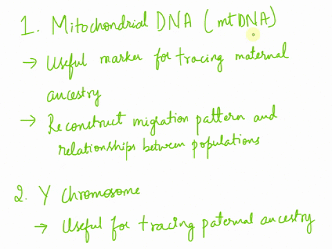 explain-the-significance-of-mitochondrial-dna-mtdna-and-y-chromosome-dna-in-lineage-tracing-19338