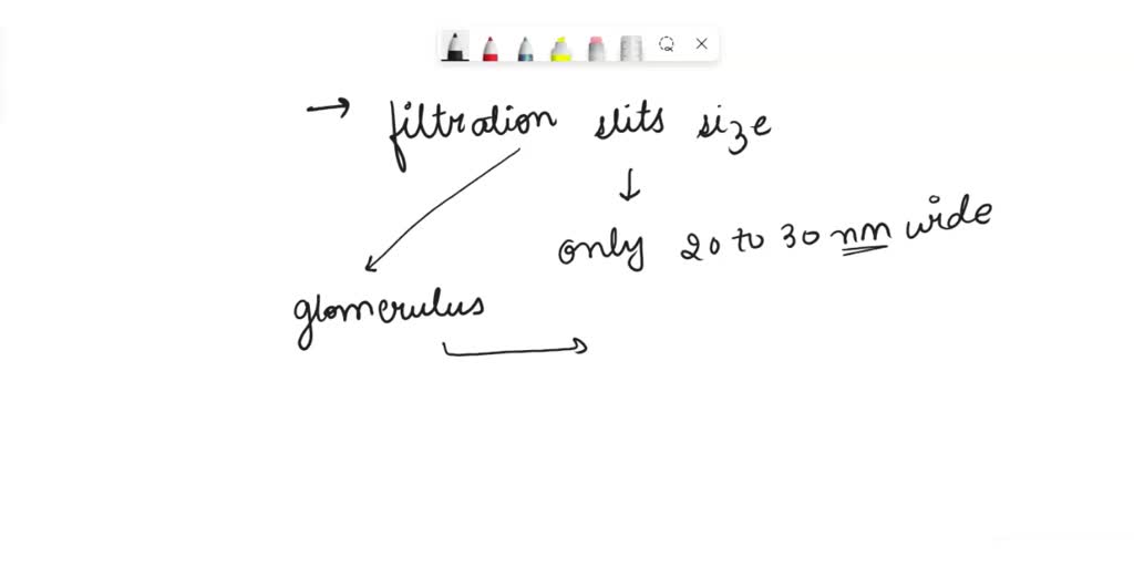 SOLVED Why do you think the size of the filtration slits in the renal