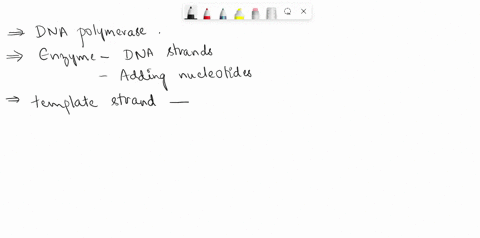 the-dna-polymerase-extends-the-primers-into-3-new-dna-strand-by-adding-nucleotides-to-the-5-end-of-the-primers-adding-nucleotides-to-the-3-end-of-the-primers-adding-additional-primers-to-the-40478