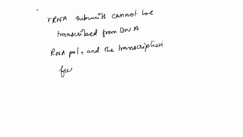 what-will-happen-if-rna-polymerase-fails-to-attach-to-the-promoter-91557
