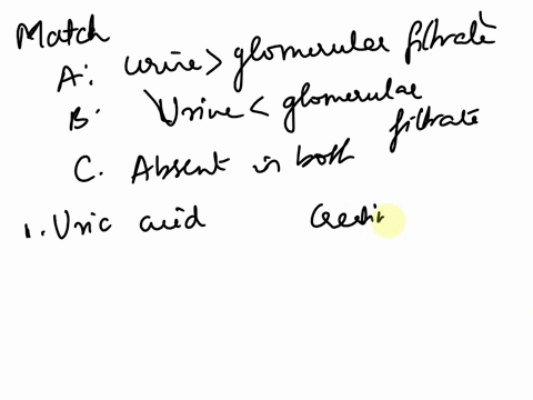 matching-assuming-normal-conditions-note-whether-each-of-the-following-substances-would-be-a-in-greater-relative-concentration-in-the-urine-than-in-glomerular-filtrate-b-in-lesser-concentrat-20232
