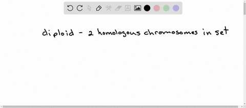 true-or-false-true-false-triploid-organism-has-four-homologous-chromosomes-in-a-set-of-chromosomes-66576