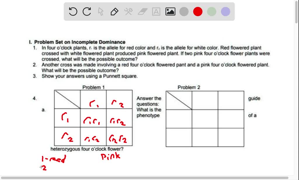 SOLVED I. Problem Set on Dominance 1. In four o'clock