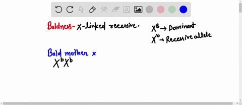 determine-the-genotype-and-phenotypeof-the-offspring-if-the-mother-is-bald-xbxbas-well-as-the-father-xb-yb-illustrate-theprobability-of-their-children-having-patternbaldness-using-punnett-sq-31424