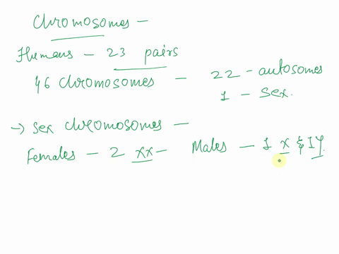 what-determines-our-sex-explain-in-terms-of-chromosomal-number-and-type-how-do-the-sex-chromosomes-differ-from-other-pairs-of-chromosomes-38113
