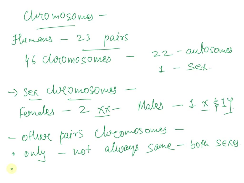 SOLVED: What determines our sex? Explain in terms of chromosomal number and  type. How do the sex chromosomes differ from other pairs of chromosomes?