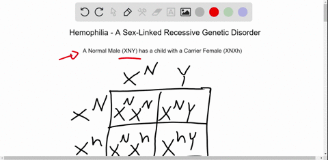 the-following-question-is-a-sex-linked-trait-review-the-patterns-of-inheritance-of-sex-linked-traits-before-answering-the-following-questions-make-sure-to-indicate-chromosomes-and-alleles-in-78295