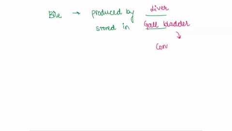 bile-is-produced-by-the-________-and-stored-in-the-__________-a-liver-small-intestine-b-gallbladder-16133