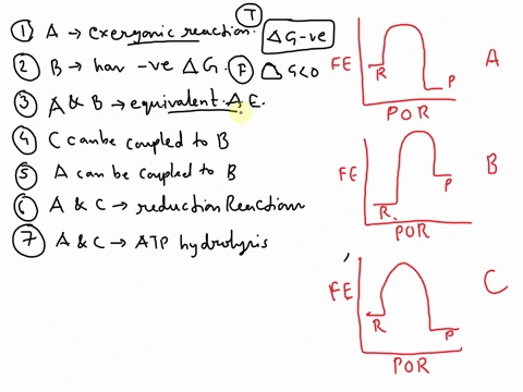 3-describe-the-free-energy-diagrams-a-c-to-your-la-or-neighbor-using-the-terms-reactants-products-activation-energy-exergonic-and-endergonic-then-answer-the-following-statements-with-either-12002