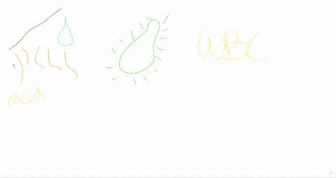 which-are-the-three-components-of-the-first-line-of-defense